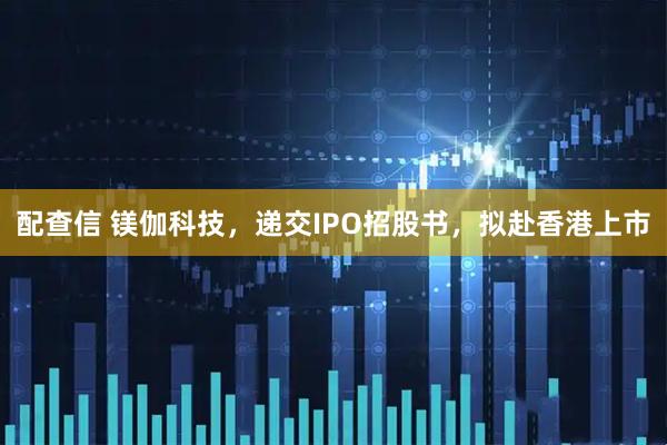 配查信 镁伽科技，递交IPO招股书，拟赴香港上市