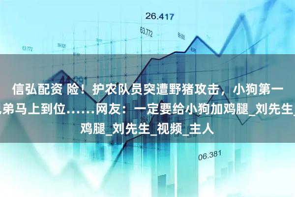 信弘配资 险！护农队员突遭野猪攻击，小狗第一个冲来，兄弟马上到位……网友：一定要给小狗加鸡腿_刘先生_视频_主人