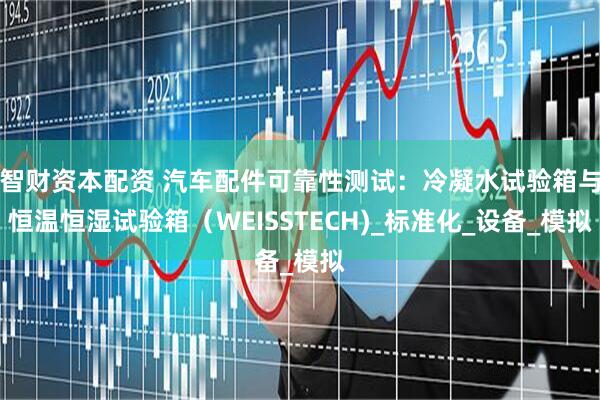 智财资本配资 汽车配件可靠性测试：冷凝水试验箱与恒温恒湿试验箱（WEISSTECH)_标准化_设备_模拟