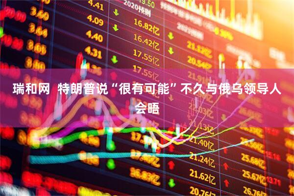 瑞和网  特朗普说“很有可能”不久与俄乌领导人会晤