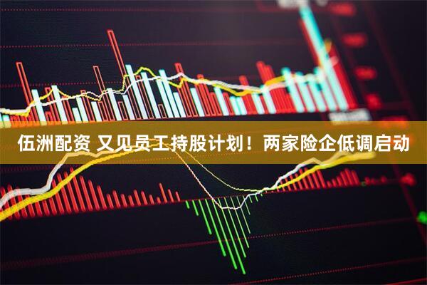 伍洲配资 又见员工持股计划！两家险企低调启动